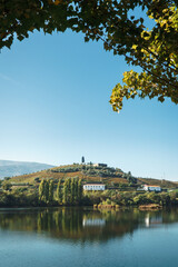 Fototapeta na wymiar Douro Autumn Vineyard Landscape - Régua 