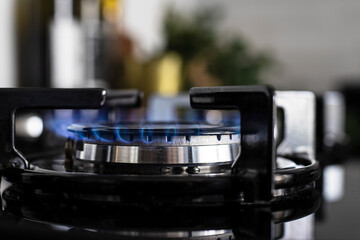 Modern kitchen stove cook. Gas flame close up on the gas stove.