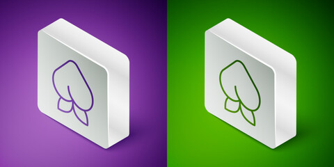 Isometric line Peach fruit or nectarine with leaf icon isolated on purple and green background. Silver square button. Vector