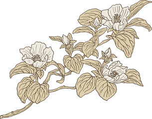 Quince apple cherry sakura apricot plum spring blossom flowers © Anatoly Shapoval