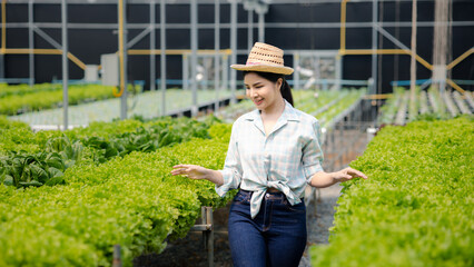 woman in the hydroponic vegetable farm grows wholesale hydroponic vegetables in restaurants and supermarkets, organic vegetables. new generations growing vegetables in hydroponics concept