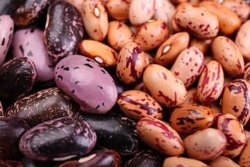 Different kinds of beans as background, closeup