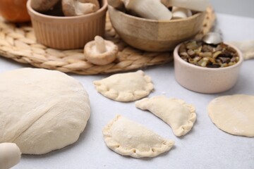 Process of making dumplings (varenyky) with mushrooms. Raw dough and ingredients on white table,...