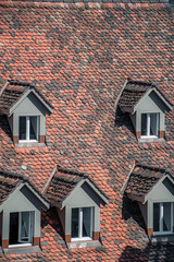 roof of the old houses