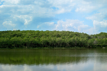 Fototapeta na wymiar lake in the forest in lower with sky