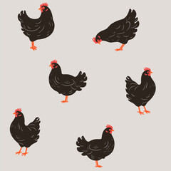 Illustration of chicken. Contour vector illustration.