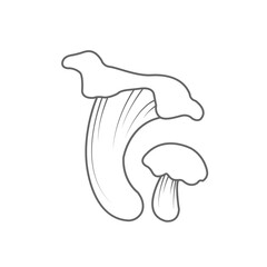 Wild mushroom doodle illustration for decoration on garden and nature concept.
