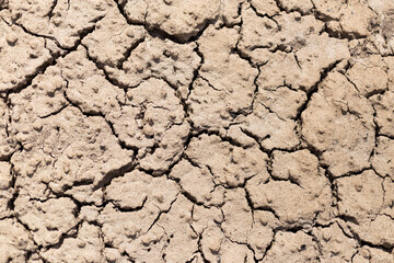 dry soil. lack of rain and water, drought, environment