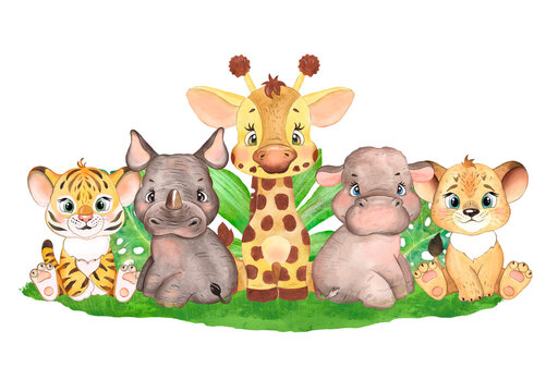 Watercolor illustration with African cute animals, safari animals, tiger cub, lion cub, rhinoceros, hippo, baby animals, print for children
