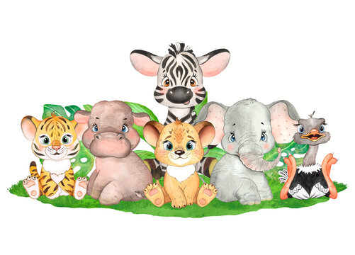 Watercolor illustration with African cute animals, safari animals, tiger cub, lion cub, rhinoceros, hippo, baby animals, print for children