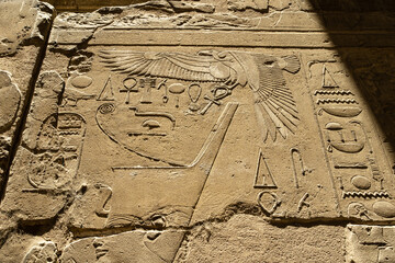 Hieroglyphs and relief of a vulture on a wall in Luxor Temple. strong contrasts due to the low sun