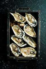 Closed fresh oysters on a tray. On a black stone background. Top view.