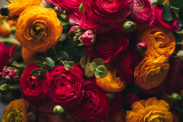 Dark flower background, soft focus on colourful buds of flowers in yellow and rose, ranunculus and eucalyptus bouquet close up