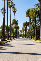 Fototapeta na wymiar Los Angeles, California, USA, June 21, 2022: Palm trees street in Beverly Hills, Los Angeles.