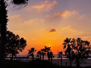 Sunset With Palms On The Beach