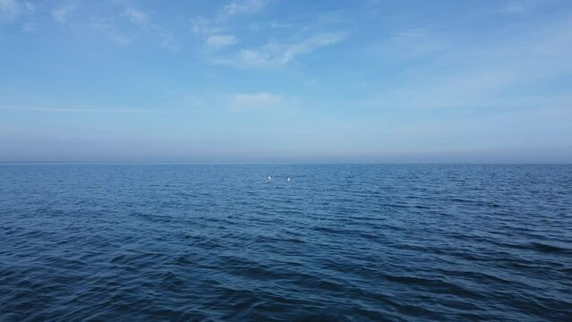 blue sea andsky, smooth transition, sea gulls