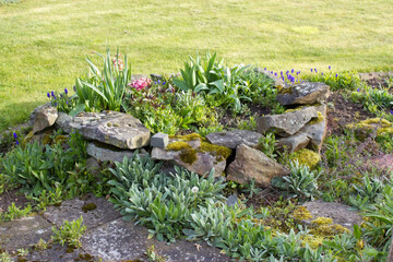 Natural flower and stone in garden. Garden flower part