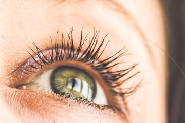Beautiful green eyes with long lashes. Young woman, a girl is looking up. Dreaming, praying,...