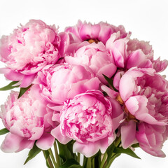 Natural flowers are pink peonies with green leaves on a white background. Generative AI, generative artificial intelligence