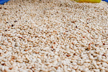 The coffee beans are naturally dried on shelves from a community in Chiang Mai in northern Thailand.