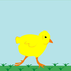 A Focused Feathered Forager