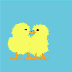 Adorable chicks kissing