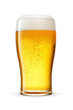 Tulip pint glass of fresh golden-colored beer with cap of foam isolated on white background.