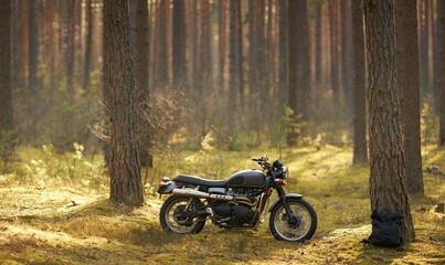 Obraz premium A black motorcycle standing in the forest. Forest bathed in sunlight. Scrambler motorcycle.