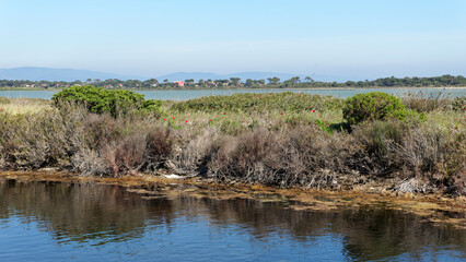 Salt marshes in the Giens peninsula. French Riviera coast