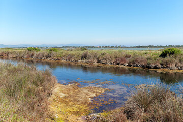 Salt marshes in the Giens peninsula. French Riviera coast
