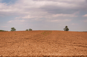 Obraz premium open field landscape in intercourse pennsylvania