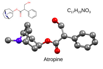 Chemical formula, skeletal formula and 3D ball-and-stick model of the antidote atropine