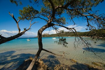 Wunderschöne Ile de Porquerolles in Südfrankreich
