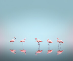 Obraz premium Row of pink flamingo reflected in a lake, AI generative minimal realistic illustration