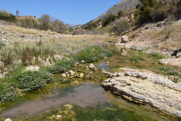 mountain river in the mountains