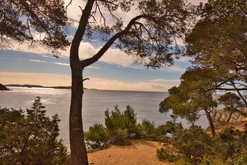 Fototapeta premium Küstenpfad auf der Presque'Ile de Giens in Südfrankreich
