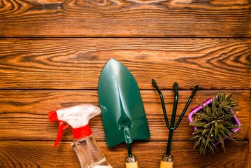 Garden tools on the background of a brown wooden table