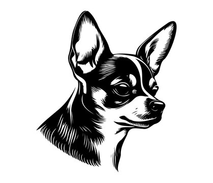 Chihuahua, Silhouettes Dog Face SVG, black and white Chihuahua vector