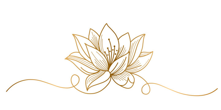 Golden lotus line art vector illustration, vesak day element design