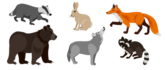 vector drawing set of animals, fox, rabbit, bear,wolf, badger,racoon, isolated at white background , cartoon style characters
