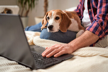 A man and his beagle conquering work tasks together. Focused and furry concept. Boosting productivity with the help of pets