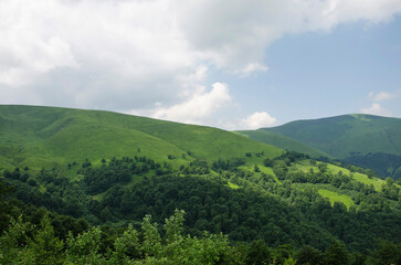 Panorama of mountains, green mountains, Ukrainian Carpathians, summer panorama of green hills