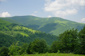 Fototapeta na wymiar View of green hills and mountains, Ukrainian Carpathians, summer landscape of mountains