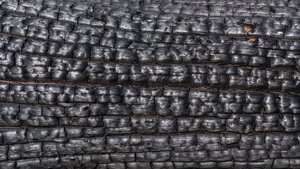 Background surface texture black burnt wood.