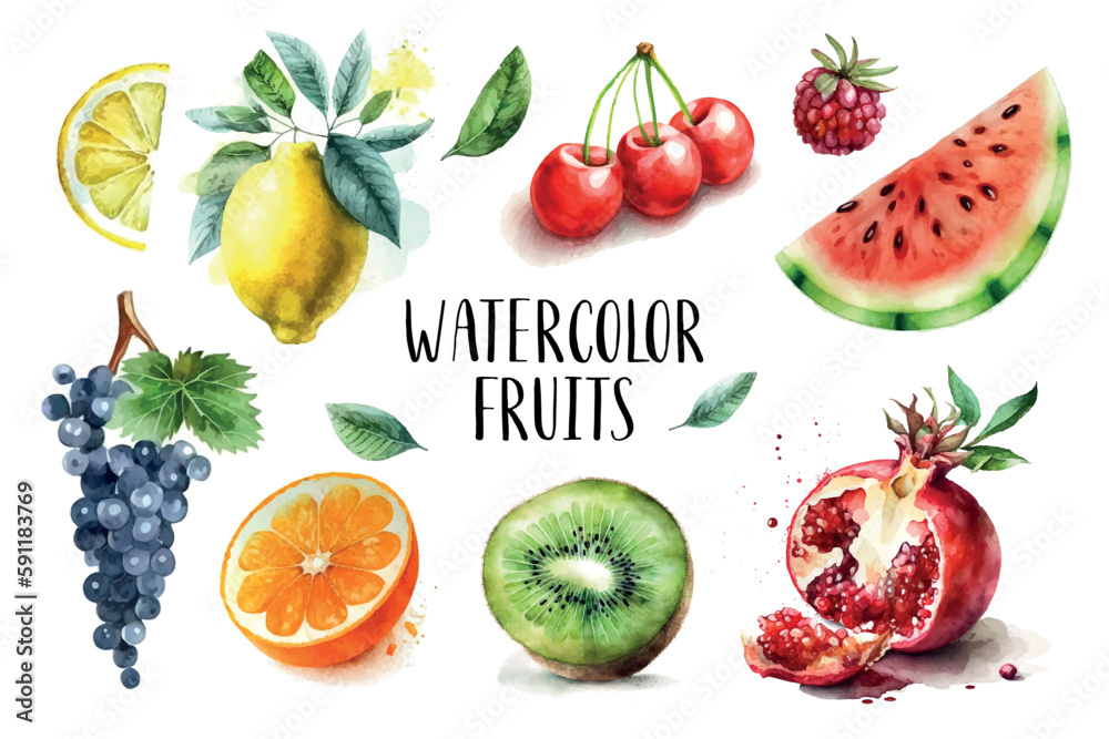 Poster Watercolor painted collection of fruits. Hand drawn fresh food design elements isolated on white background.