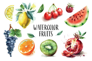 Watercolor painted collection of fruits. Hand drawn fresh food design elements isolated on white background.