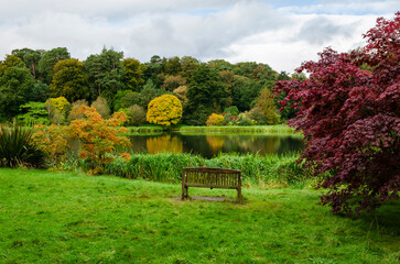 Bench beside a lake with colourful trees and cloudy sky
