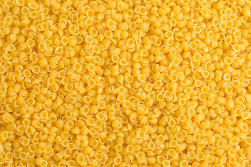 Raw small pasta shells.