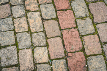 A road paved with stones, a green grass between stones on the sidewalk