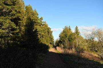 Obraz premium Le lac de servières à orcival en Auvergne en France